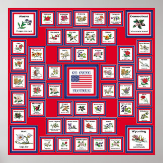 AFFICHES USA 50 FLEURS D'ÉTAT ROUGE/560