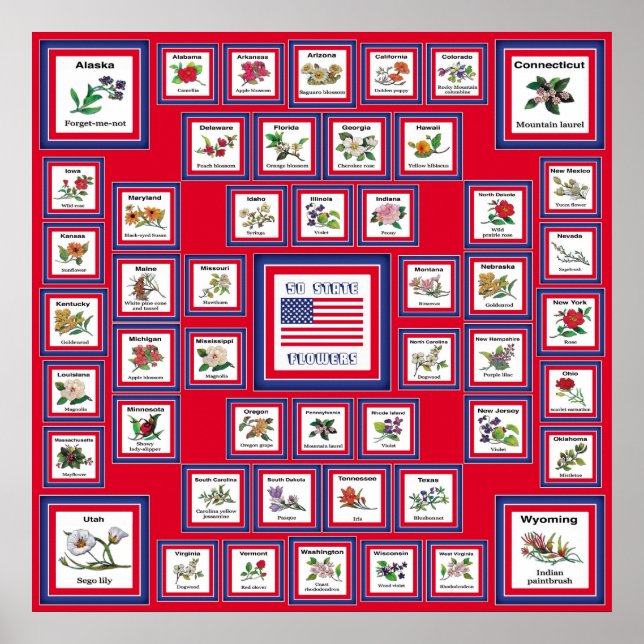 AFFICHES USA 50 FLEURS D'ÉTAT ROUGE/560 (Devant)