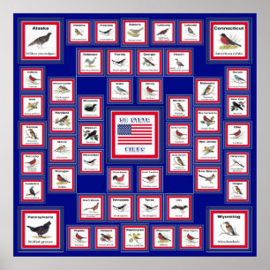 AFFICHES USA 50 STATE BIRDS BLUE/552