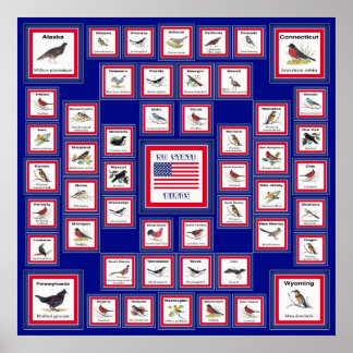 AFFICHES USA 50 STATE BIRDS BLUE/552