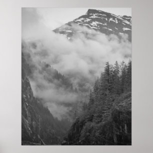 Affiches USA, Alaska, Juneau, Rainforest couvre les fjords