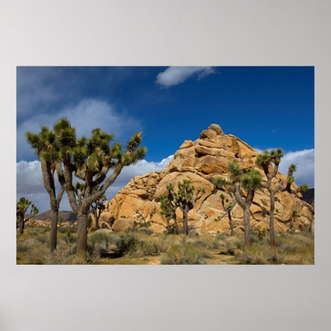 Affiches USA, Californie, Parc national de Joshua Tree (Devant)