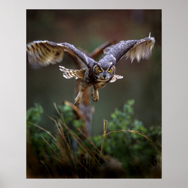 Affiches USA, Géorgie, Pine Mountain, Callaway Gardens. (Devant)