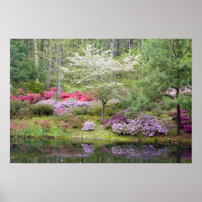 Affiches USA, Géorgie, Pine Mountain. Un mélange de (Devant)