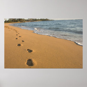 Affiches USA, Hawaii, Kauai, Kapa'a, front de mer. RF)