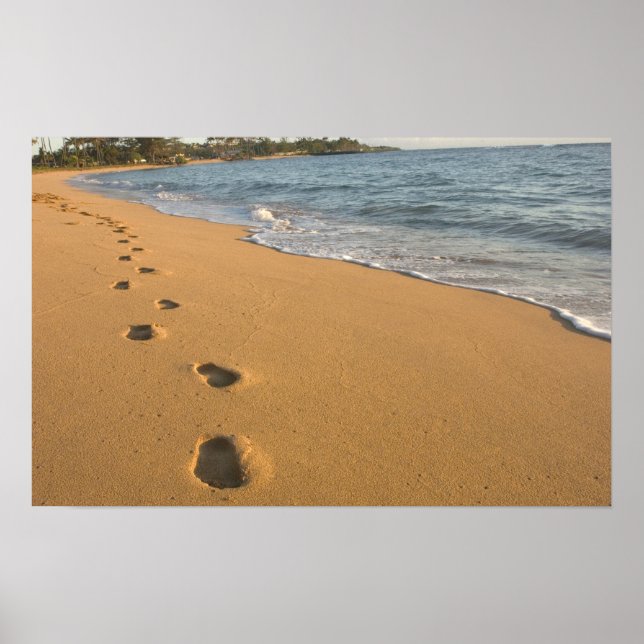 Affiches USA, Hawaii, Kauai, Kapa'a, front de mer. RF) (Devant)