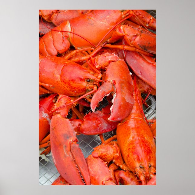 Affiches USA, Massachusetts, Martha's Vineyard (Devant)