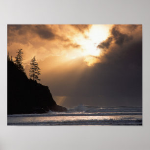 Affiches USA, Oregon, près du parc Oswald West State Park, 