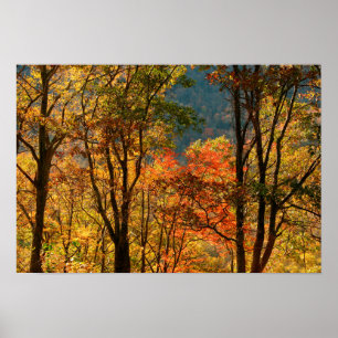 Affiches USA, Tennessee. Folithe d'automne