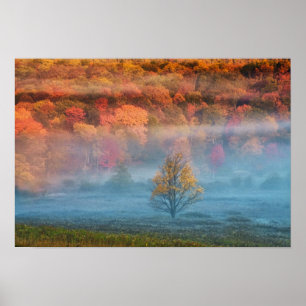 Affiches USA, Virginie-Occidentale, Davis. La vallée du Mis