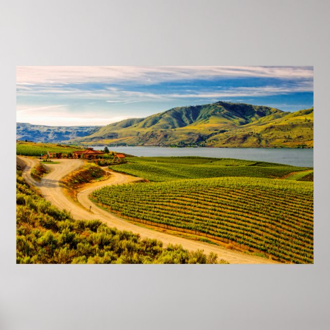 Affiches USA, Washington, Lake Chelan. Benson Vineyards (Devant)