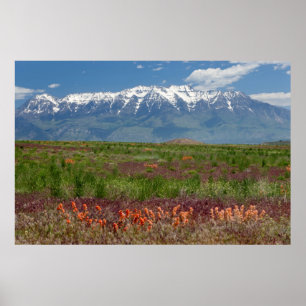 Affiches Utah, États-Unis. Le mont Timpanogos s'élève au-de