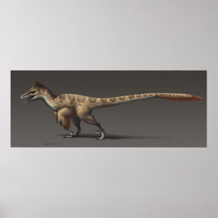 Affiches Utahraptor