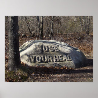 Affiches Utilisez votre tête Babson Boulder