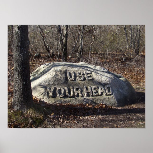 Affiches Utilisez votre tête Babson Boulder (Devant)
