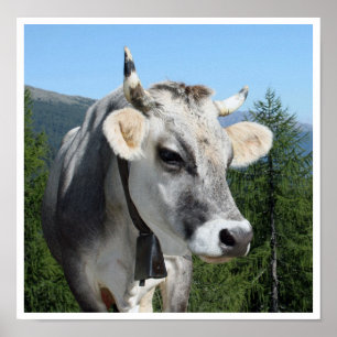 Affiches Vache avec cloche en montagne