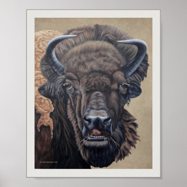 Affiches Vache de bison bison mangeant Tan (Devant)