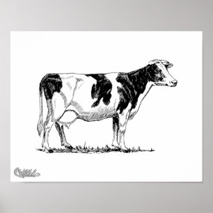 Affiches Vache du Holstein