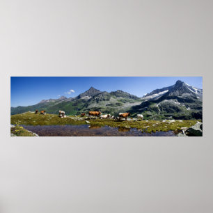 Affiches Vaches Dans Les Montagnes