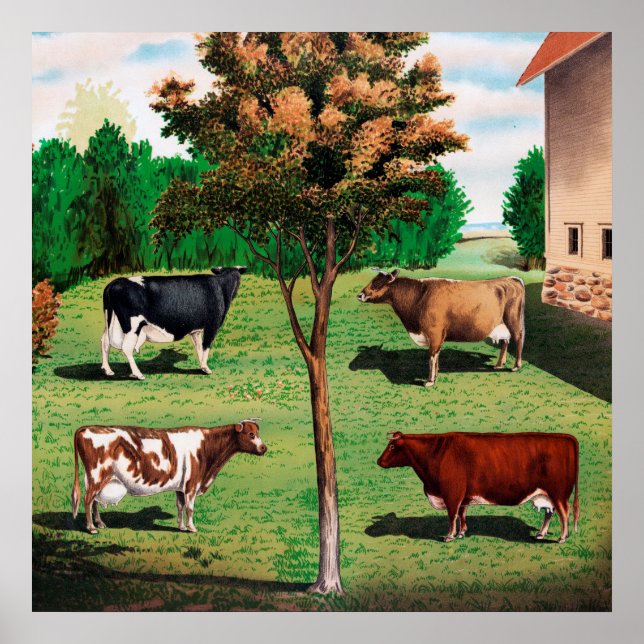 Affiches Vaches Holstein, Jersey, Ayrshire et Shorthorn (Devant)