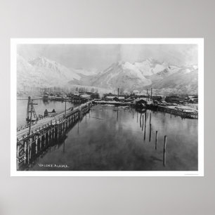 Affiches Valdez, Alaska Birdseye 1905