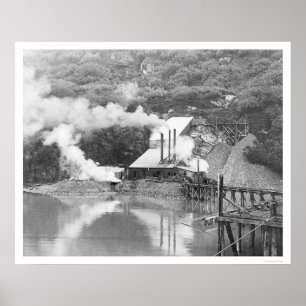 Affiches Valdez, Alaska Gold Mining 1916