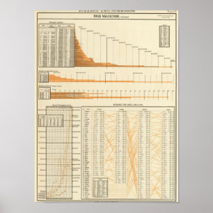 Affiches Valeur réelle
