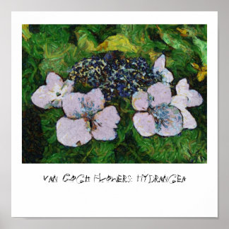 Affiches Van Gogh Flowers : Hydrangea