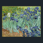 Affiches Van Gogh Irises, Art Post impressionnisme Vintage<br><div class="desc">Van Gogh Irises, Poster d'Art Post impressionnisme Vintage.Irises de Vincent van Gogh est un tableau vintage de post impressionnisme paysager floral avec un bouquet d'iris violets barbus poussant dans un jardin avec une fleur d'iris blanc.Vincent Willem van Gogh était un peintre hollandais Post impressionniste dont l'oeuvre était la plus remarquable...</div>