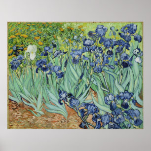 Affiches Van Gogh Irises, Art Post impressionnisme Vintage