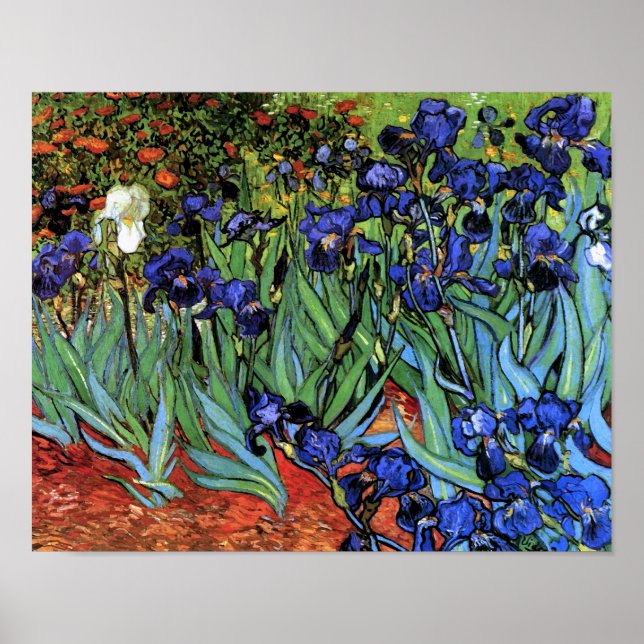 Affiches Van Gogh Irises (F608) Art Vintage (Devant)