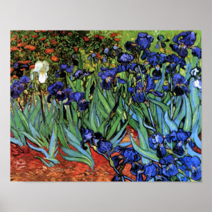 Affiches Van Gogh Irises (F608) Art Vintage