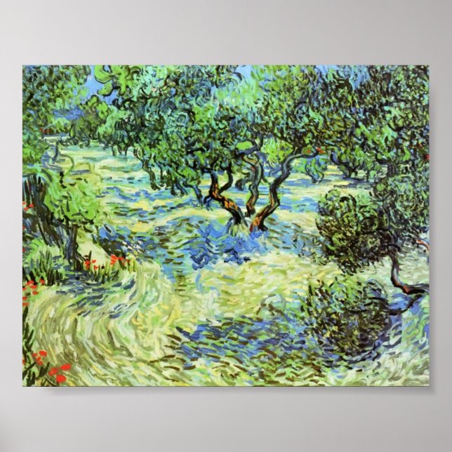 Affiches Van Gogh - Olive Grove - Ciel bleu clair (Devant)