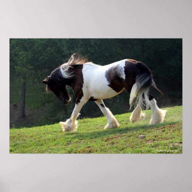 Affiches Vanner Tsigane (Devant)
