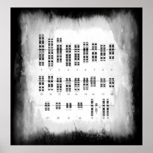 AFFICHES VARIATION GÉNÉTIQUE HUMAINE - KARYOTYPE