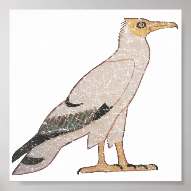 Affiches Vautour (Devant)