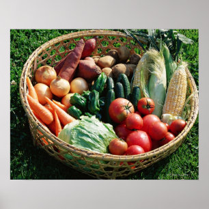 Affiches Vegetables 5