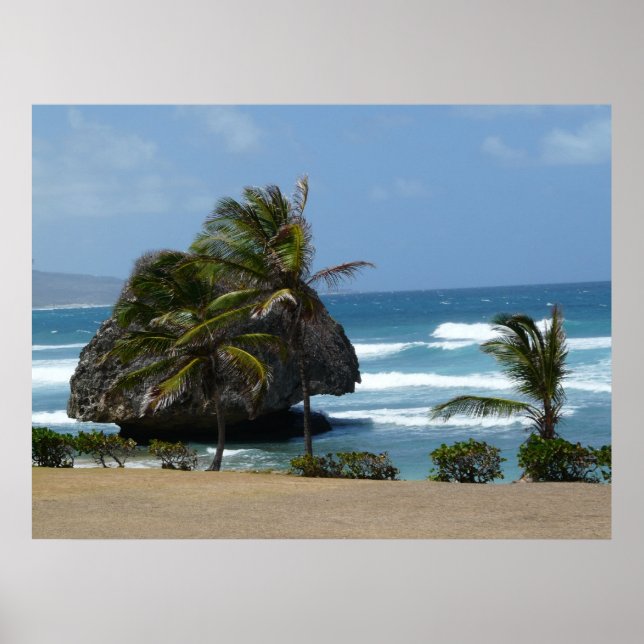 Affiches Vent (Devant)