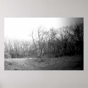 Affiches Vent d'hiver