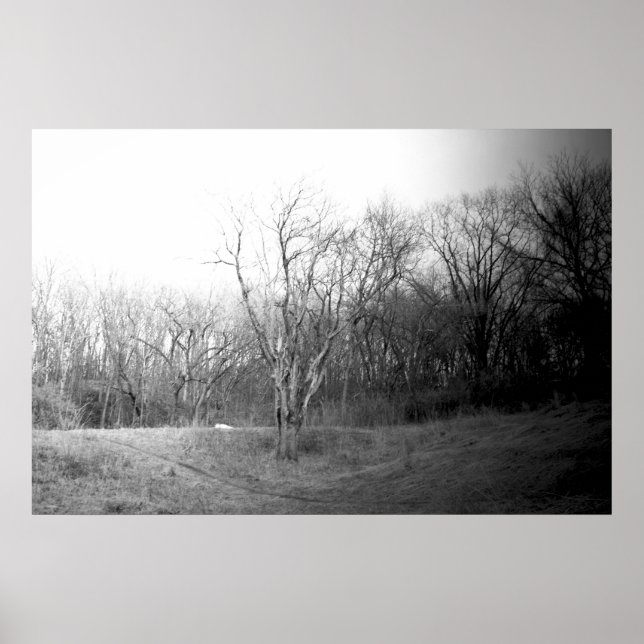 Affiches Vent d'hiver (Devant)