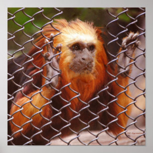 Affiches Ventilation