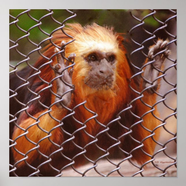 Affiches Ventilation (Devant)