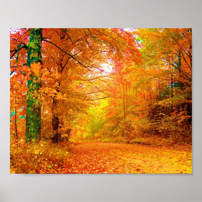 Affiches Vermont Autumn Nature Landscape Fine Art (Devant)