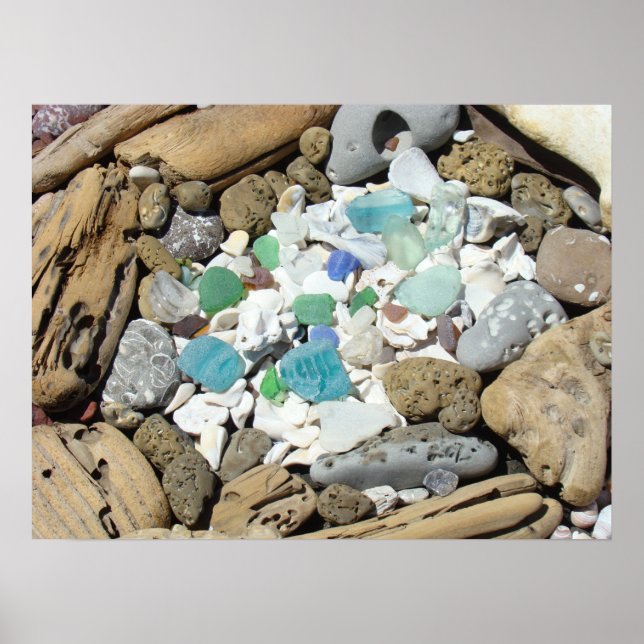 Affiches Verre de Mer Plage Coquillages Fossiles P (Devant)