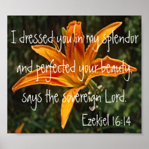 Affiches verset de la bible de tigre Ezekiel 16:14