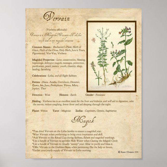 AFFICHES VERVAIN MAGICK HERB (Devant)