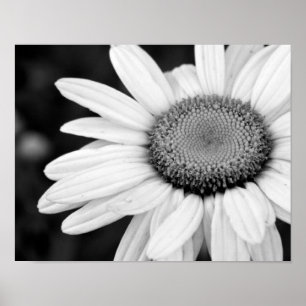 Affiches vibrant macro black and white photography floral
