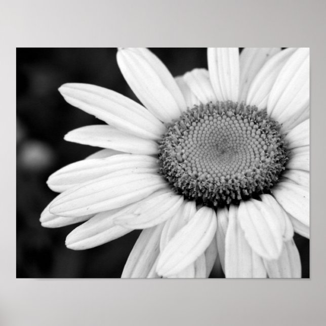 Affiches vibrant macro black and white photography floral (Devant)