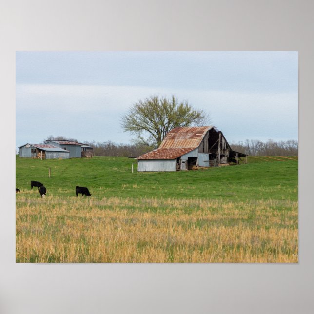 Affiches Vieille ferme d'Ozark (Devant)