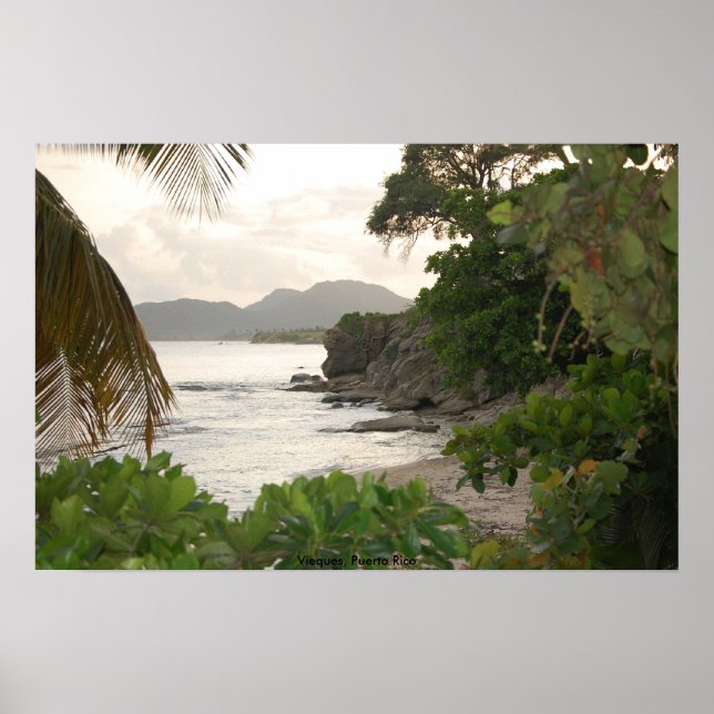 Affiches Vieques, Porto Rico (Devant)